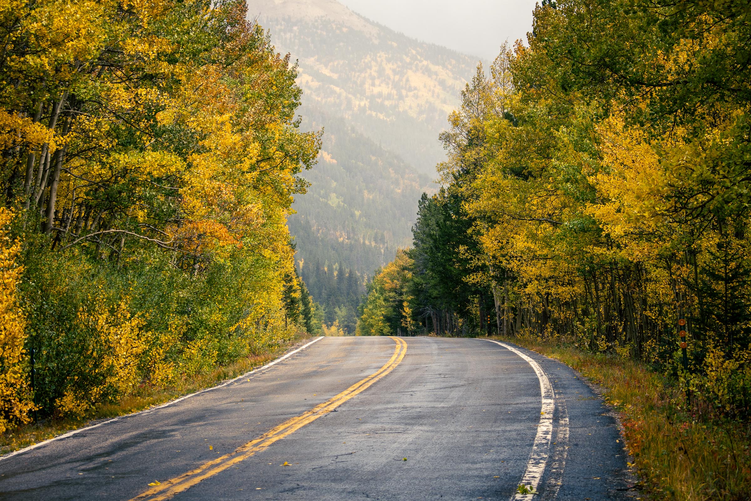 Aspens